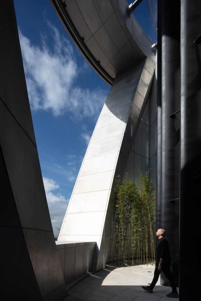 ����� �����