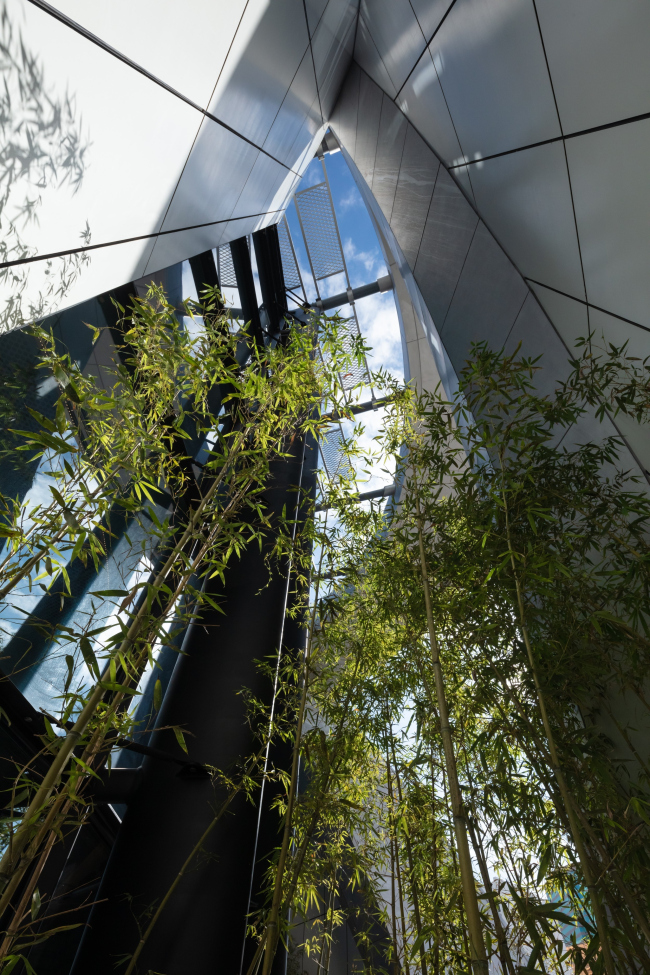 ����� �����