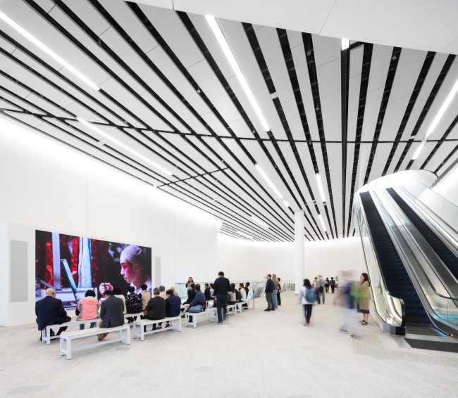 ����� �����