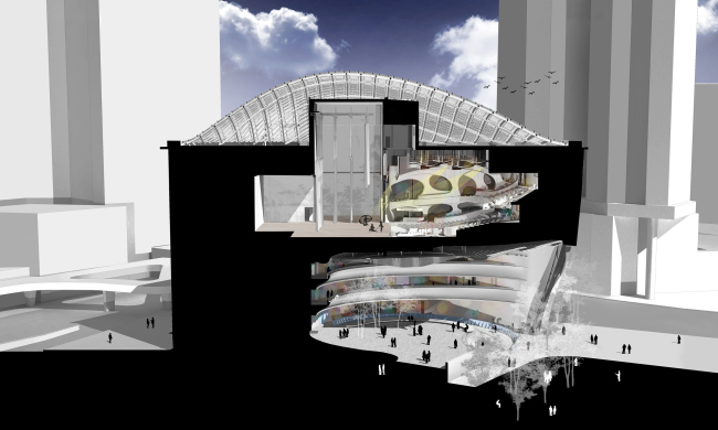 ����� �����