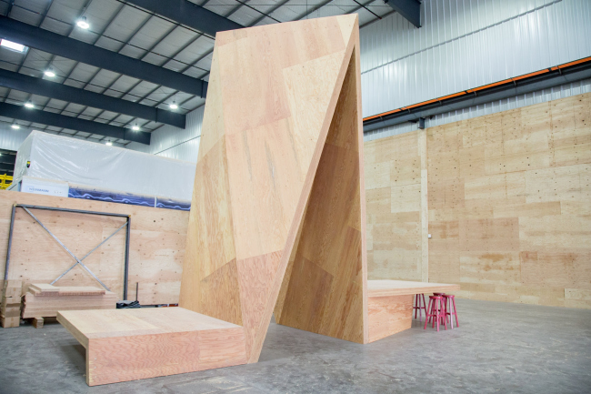 Mass plywood panel (MPP)