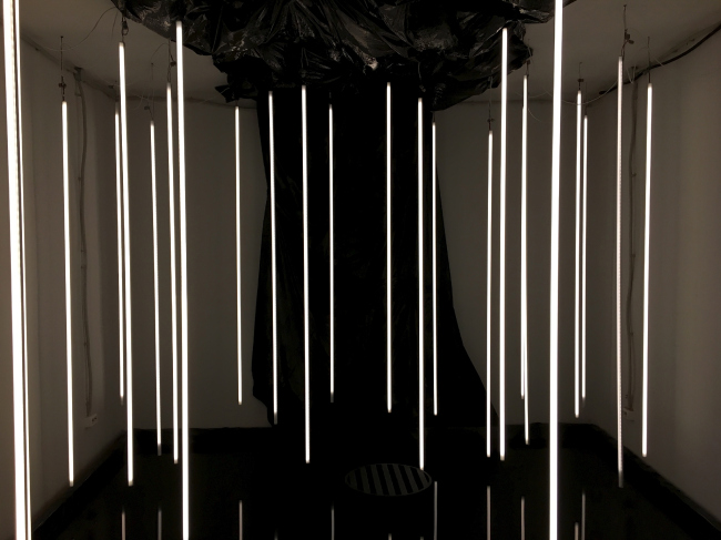 ����������� ��������������� ���� 11�. �������� ���� ����������� � �������, 2019