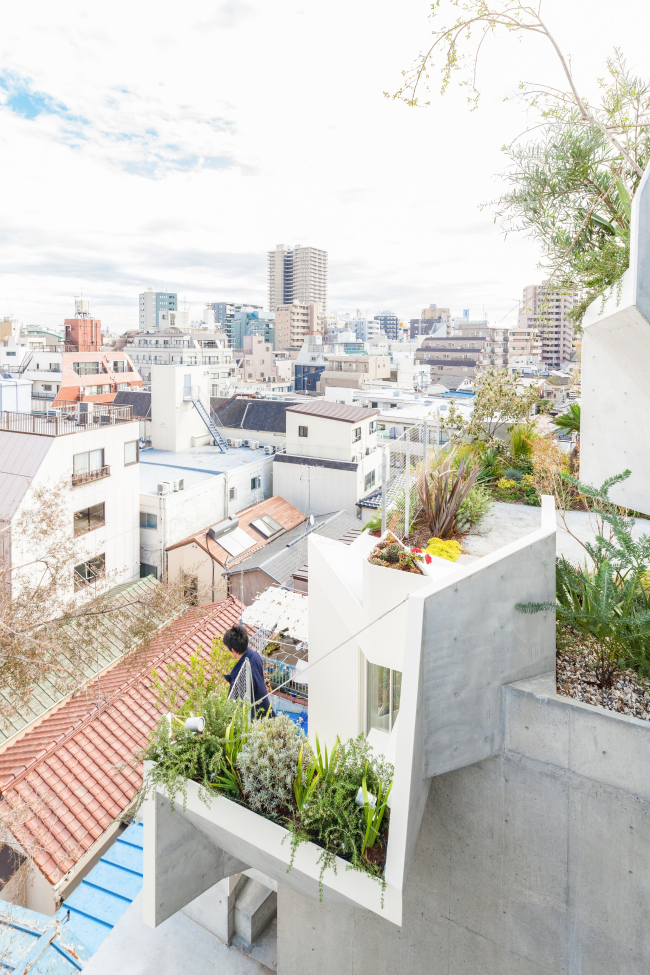 �������� Tree-ness House