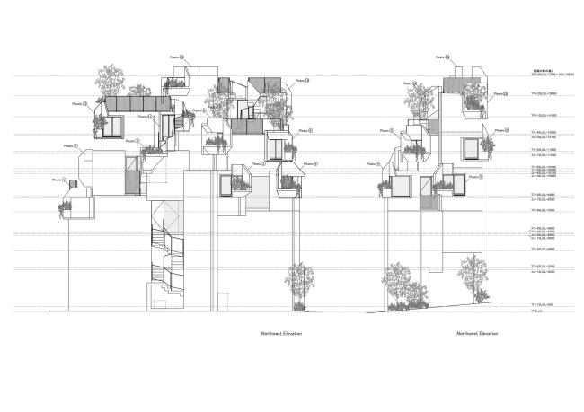 �������� Tree-ness House