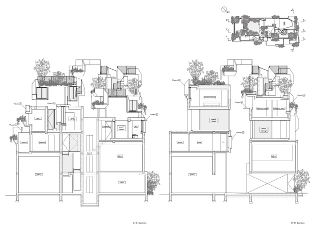 �������� Tree-ness House