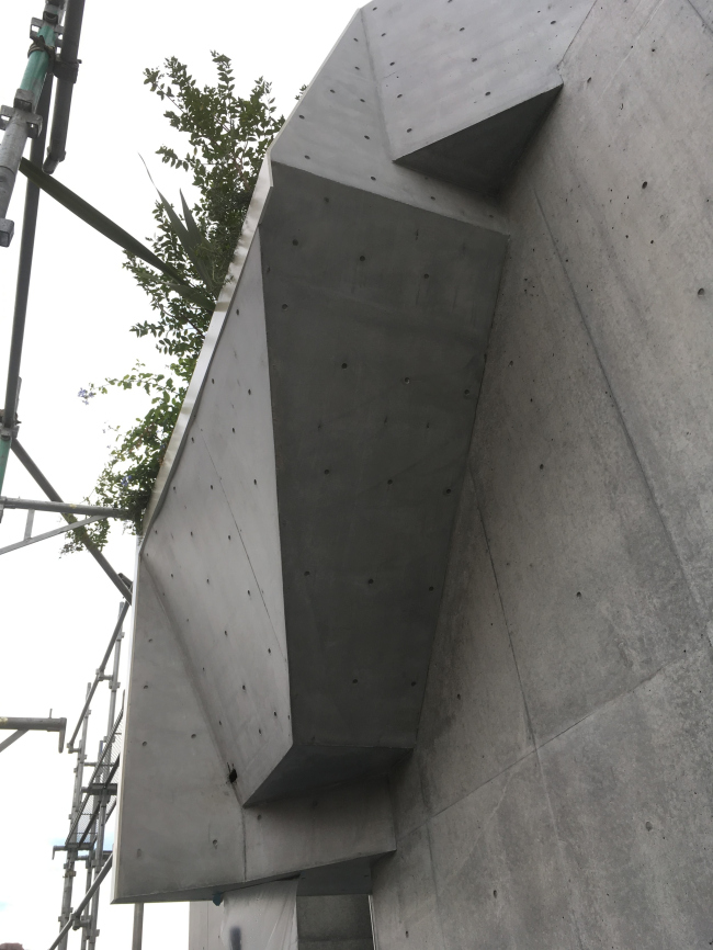 �������� Tree-ness House