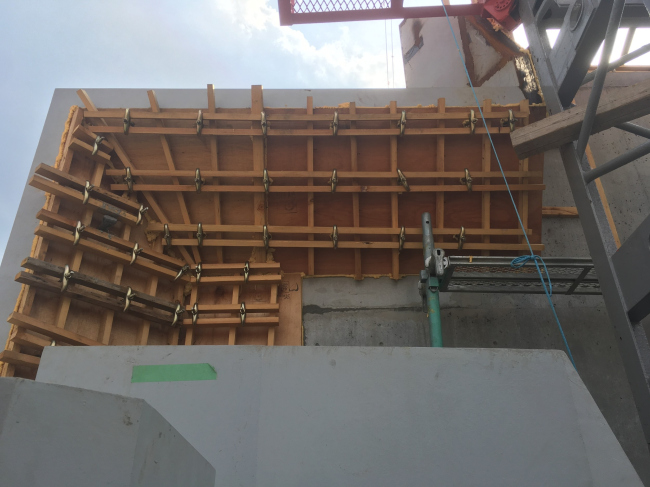 �������� Tree-ness House