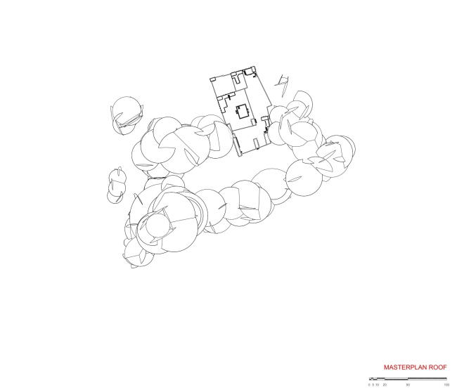 ������������ ����� ������