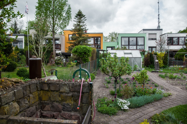 ����� ������ �����/���������