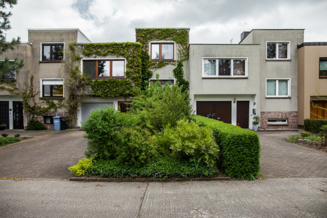 ����� ������ �����/���������