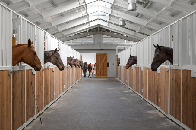 �����-���������� ���� VG � ��������