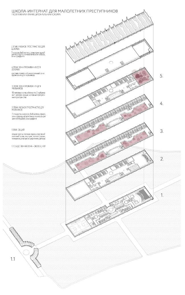 �����-�������� ��� ���������� ������������. �����: ���� ������ 