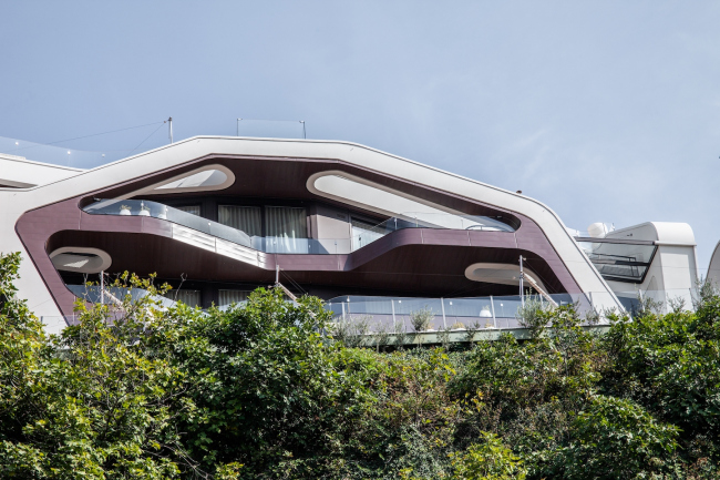 ����� ������ ��������