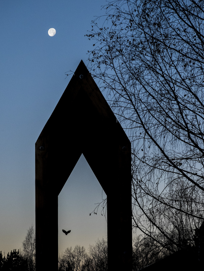 ���� ������ � ������������ ����