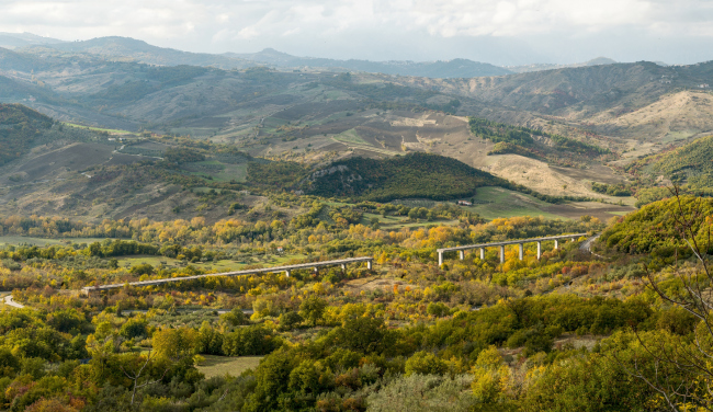 ������, ����� (�����, �������)