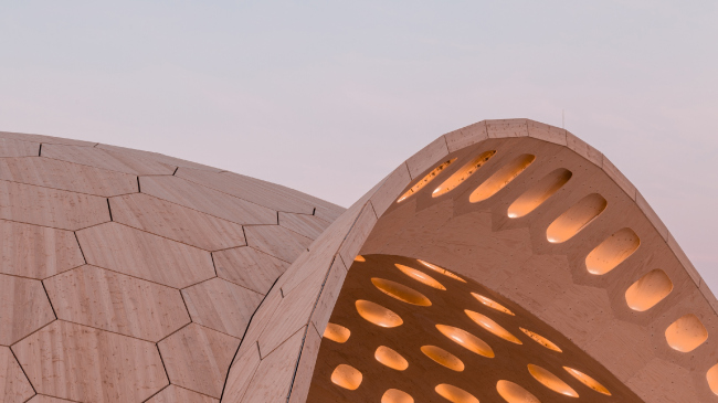 ���������� �������� BUGA