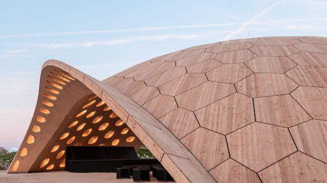 ���������� �������� BUGA