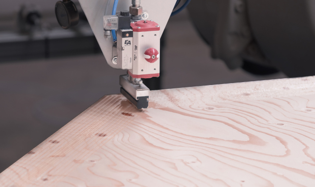 ���������� �������� BUGA