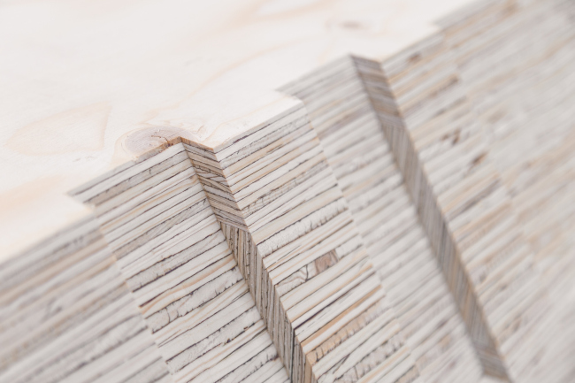 ���������� �������� BUGA