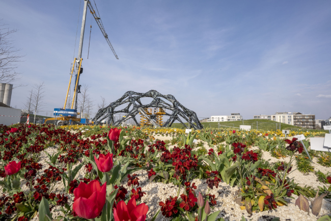 �������� �� ������������ ������� BUGA