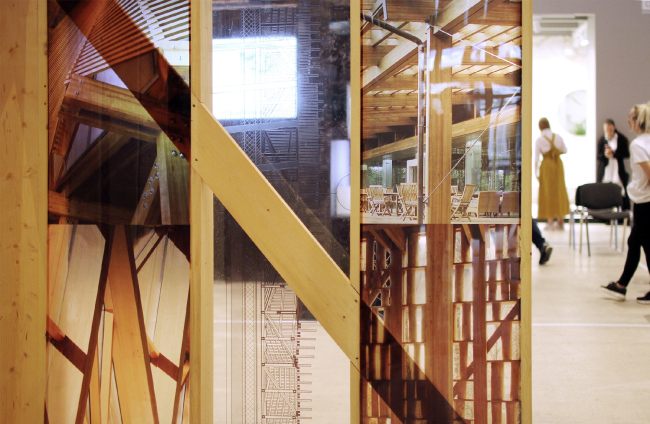 ��� ������ 2019