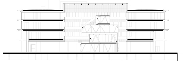 ����-�������� �������� ASICS