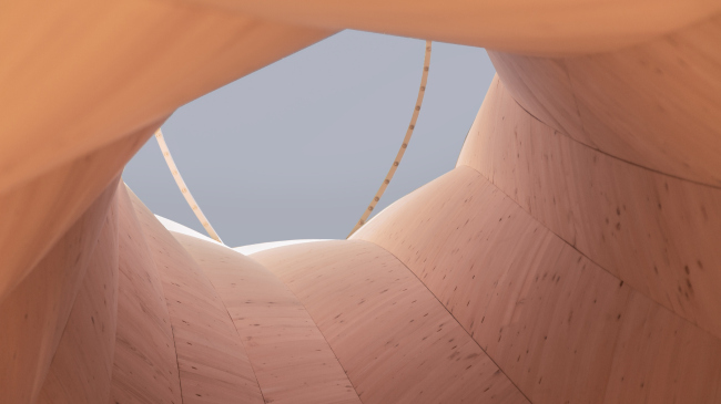 ����� ������