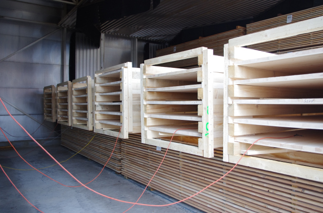 ����� ������