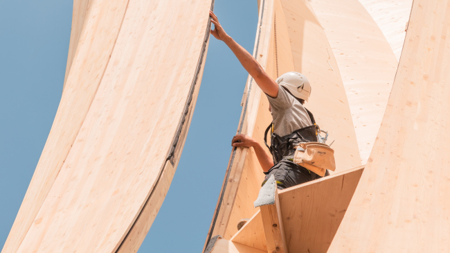 ����� ������