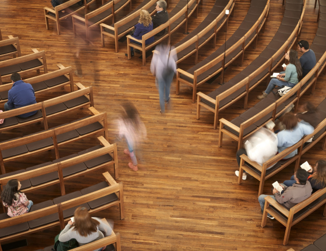 ���� �������� ����� �������