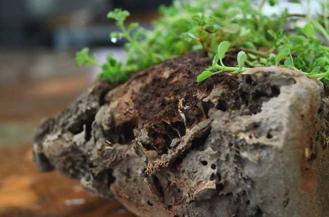 �������� ��������� ������, ����� �������: ����� ���