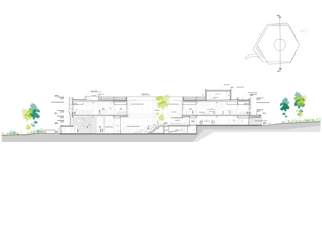 ���������� � ������� ����� Hexagone