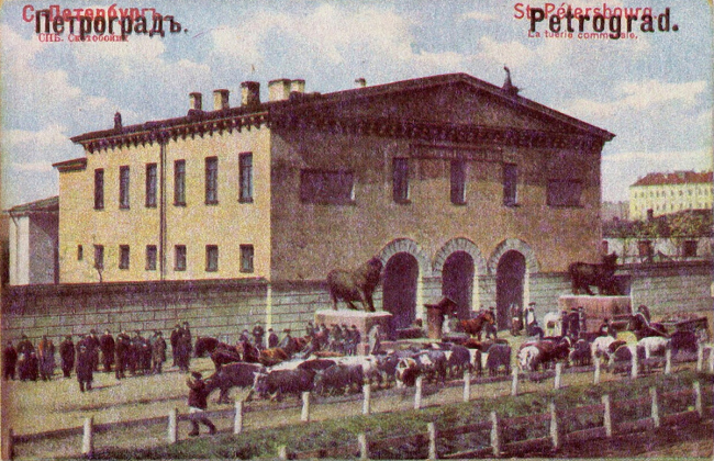 Photo of the main slaughterhouse. 1904