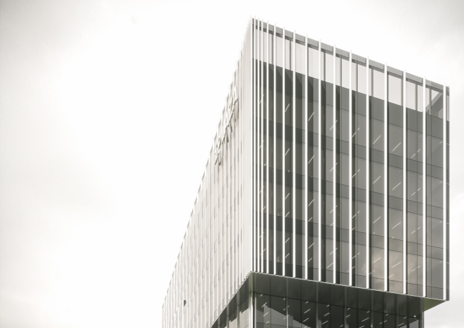 ������ ����� �� ��������� ������� �� � ���-�������, ���������. ������ ���� ������.