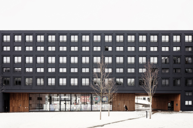 ������������ ��������� �� ������� �����-�����