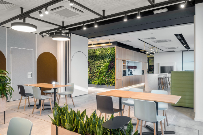 ���� ���������. ����������