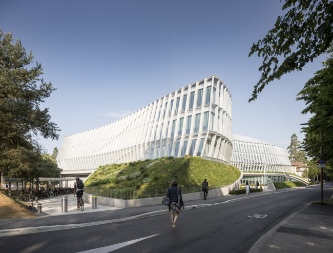 ����������� ���. ����-�������� �������������� ������������ �������� (���)