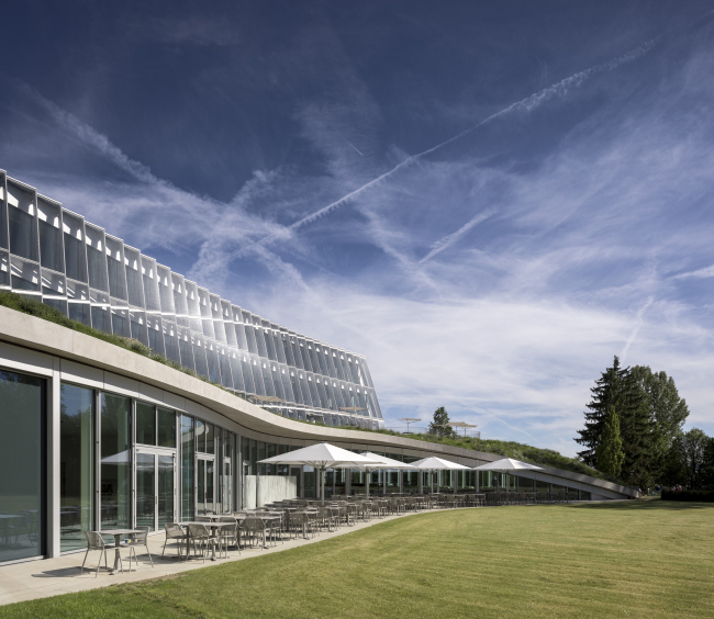 ����������� ���. ����-�������� �������������� ������������ �������� (���)