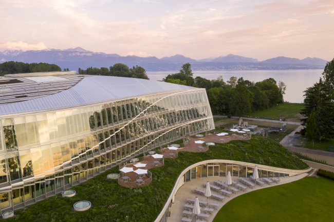 ����������� ���. ����-�������� �������������� ������������ �������� (���)