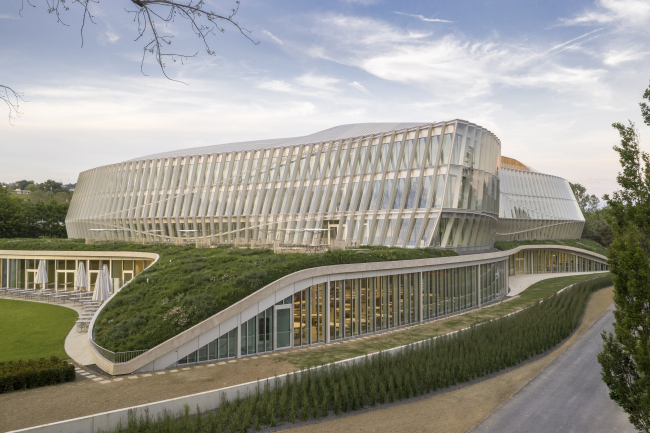 ����������� ���. ����-�������� �������������� ������������ �������� (���)