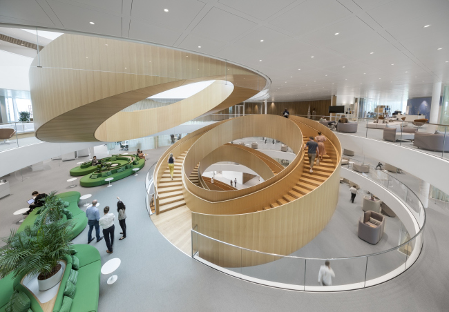 ����������� ���. ����-�������� �������������� ������������ �������� (���)