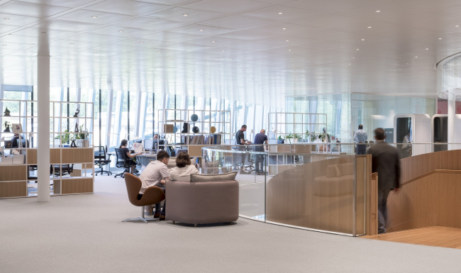 ����������� ���. ����-�������� �������������� ������������ �������� (���)