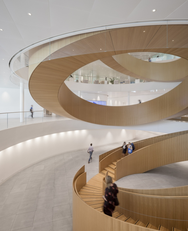 ����������� ���. ����-�������� �������������� ������������ �������� (���)