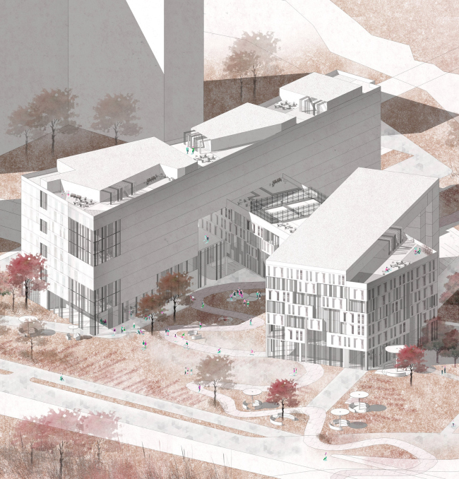 �������� ����������� ����������� ���������� �������� ����������