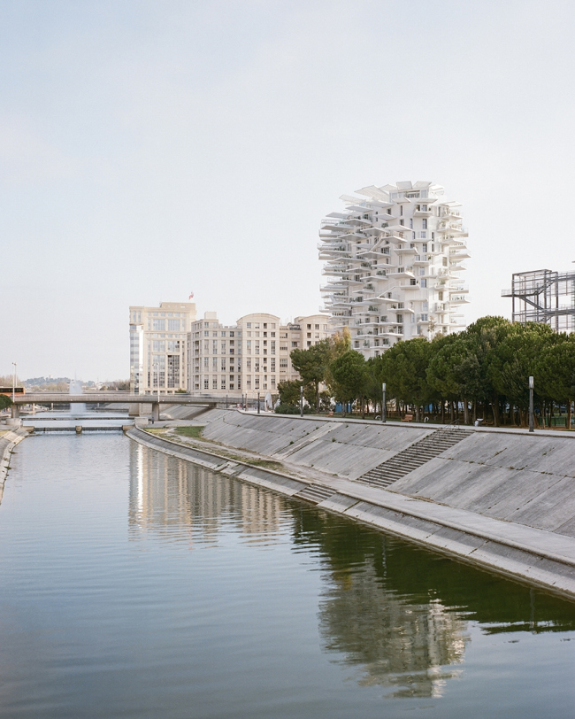  L′Arbre Blanc