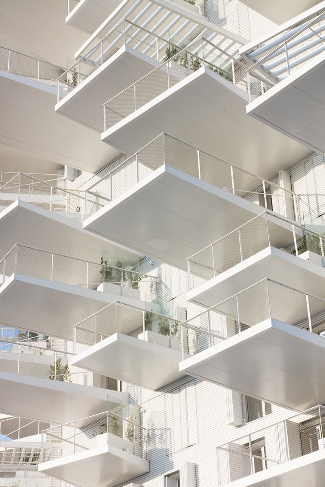 ����� L′Arbre Blanc