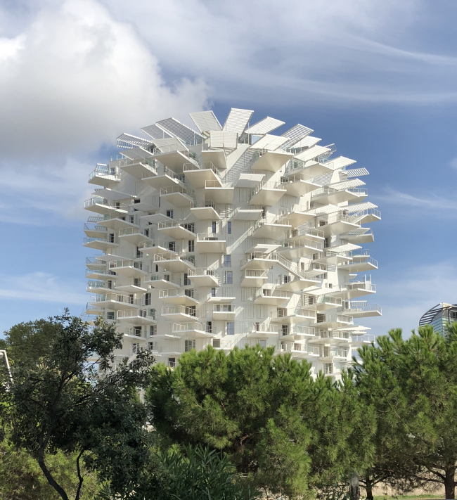 ����� L′Arbre Blanc