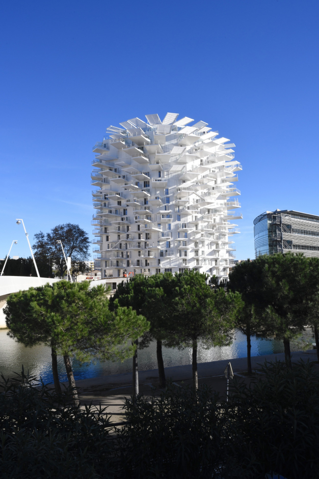  L′Arbre Blanc