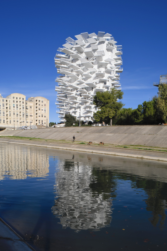  L′Arbre Blanc