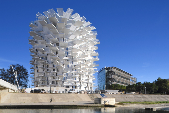 ����� L′Arbre Blanc